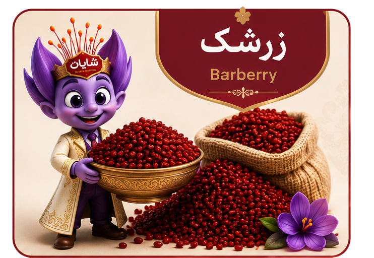 خرید زرشک تازه و صادراتی شضایان با رنگ طبیعی و طعم عالی